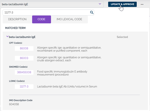 IMO Term Matcher User Guide